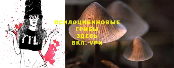 2c-b Зеленодольск