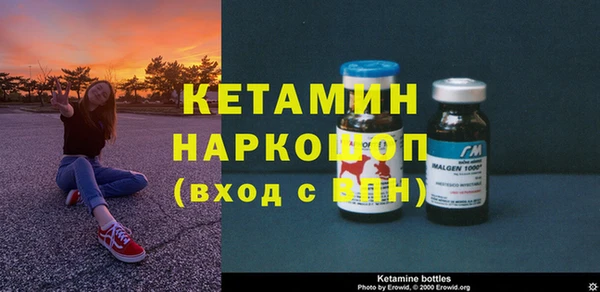 сатива Зеленокумск