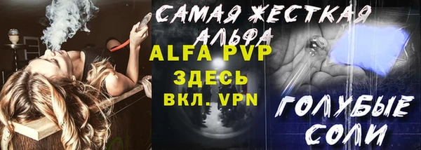 сатива Зеленокумск