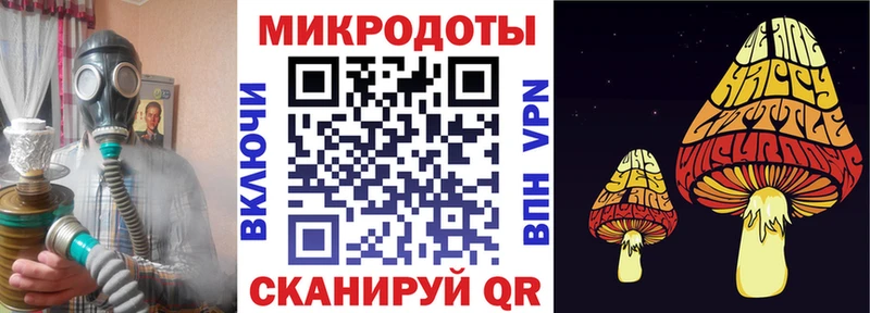 Купить где  Покачи  Псилоцибиновые грибы Psilocybine cubensis 